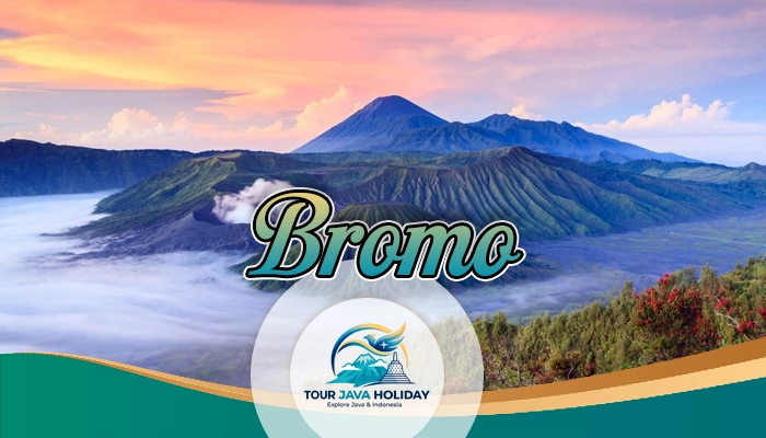 TOUR BROMO IJEN FROM SINGAPORE