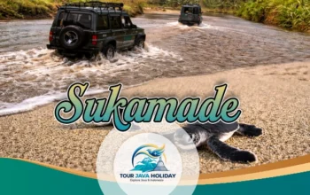 Sukamade Turtle Tour