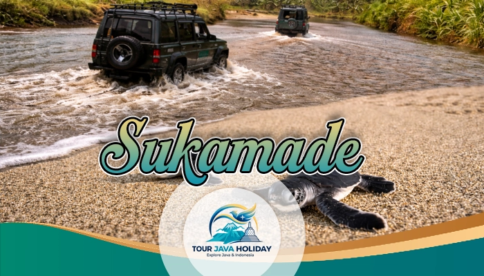 Sukamade Turtle Tour