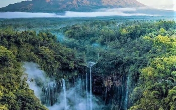 Bromo and Tumpak Sewu Tour from Malang